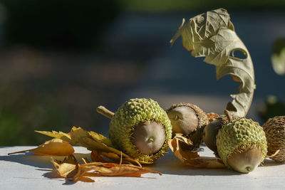 Close-up of fruits on table