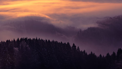 Low angle view of silhouette trees against sky at sunset