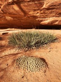 View of sand dunes on land