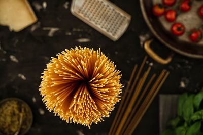 High angle view of flowering plant