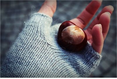 Cropped hand holding chestnut