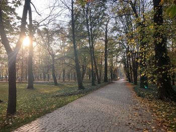 Footpath amidst trees in park during autumn