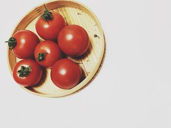 High angle view of tomatoes in bowl against white background