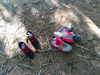 High angle view of shoes on grass