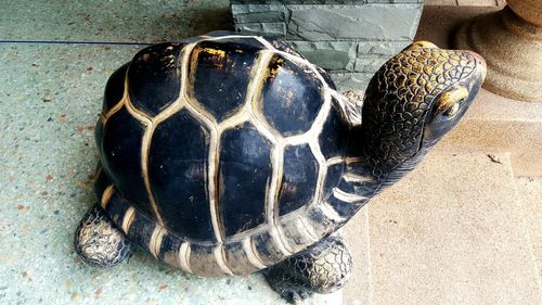 Close-up of shadow on wall