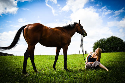 Horse standing in a field