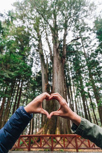 Cropped hands making heart shape against tree in forest