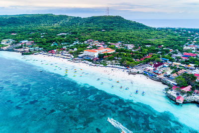 High angle view of trees by sea