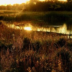 Scenic view of lake during sunset