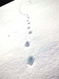 Close-up of white surface