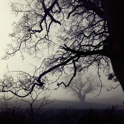silhouette