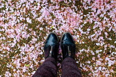 Low section of woman standing on fallen pink flower petals