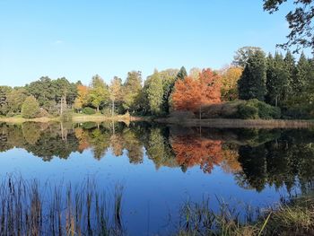 Reflection of trees in lake against sky during autumn
