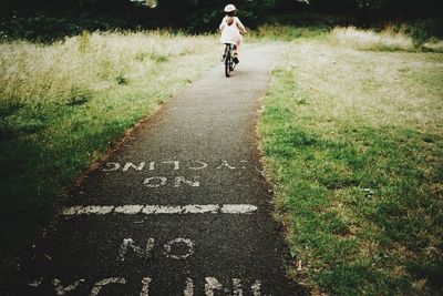 Man riding bicycle on road