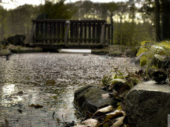 Close-up of plants against blurred water