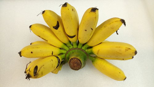 Close-up of yellow fruit against white background