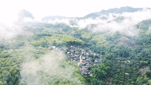 High angle view of trees and buildings against sky