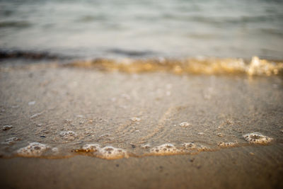 Surface level of sand on beach