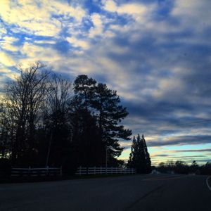 Bare trees by road against cloudy sky