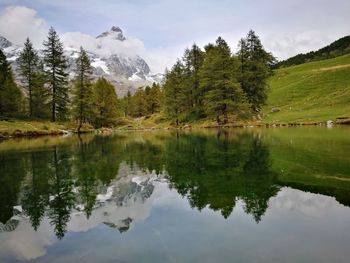 Scenic view of lake by trees against sky