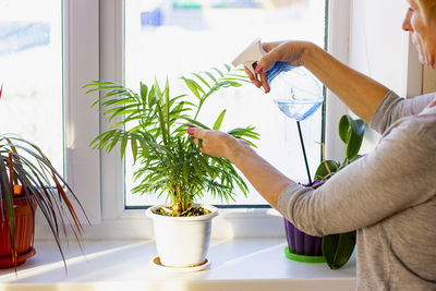 Midsection of woman holding potted plant at home