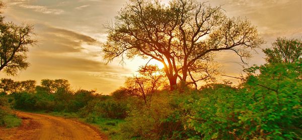 Scenic view of landscape against sky during sunset