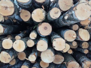 Full frame shot of logs