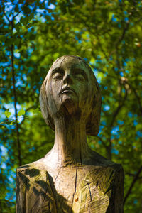 Close-up of statue against trees in park