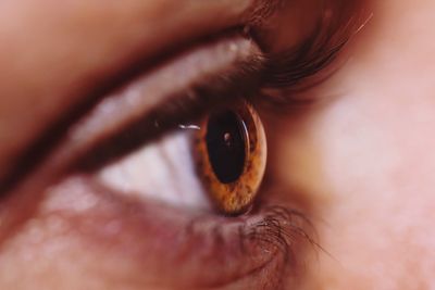 Close-up of woman eye