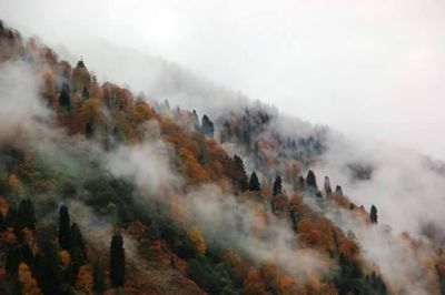 Scenic view of landscape against cloudy sky