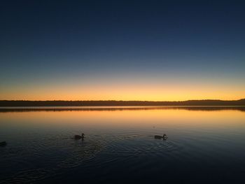 Calm pond with ducks at harwich, cape cod 