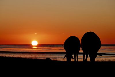 Silhouette people on beach against orange sky