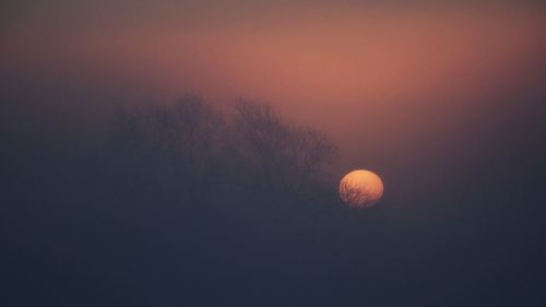 Silhouette trees against orange sky