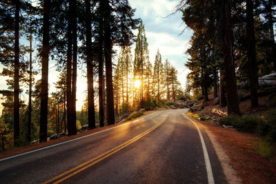 Empty road amidst trees against sky