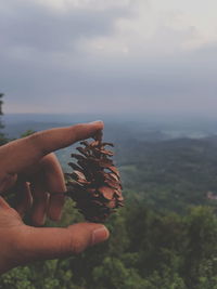 Close-up of hand holding pine cone against sky