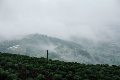 Scenic view of landscape against sky