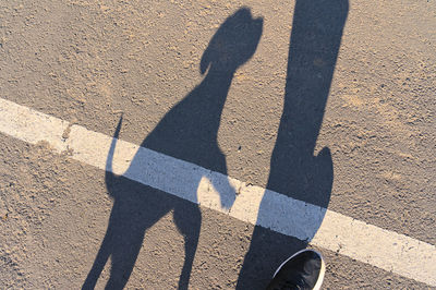 shadow
