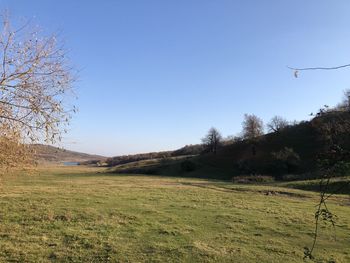 Scenic view of field against clear sky