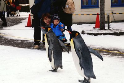 Mother and son looking at penguin walking on snow