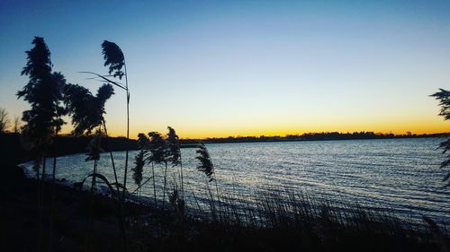 Silhouette trees by lake against sky during sunset