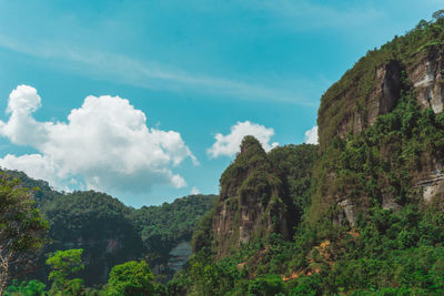 Low angle view of trees and mountains against sky