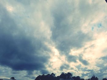 Low angle view of trees against sky