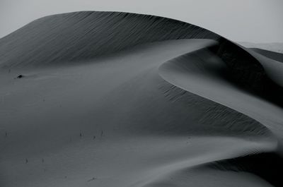 Scenic view of dessert dune