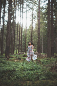 forest