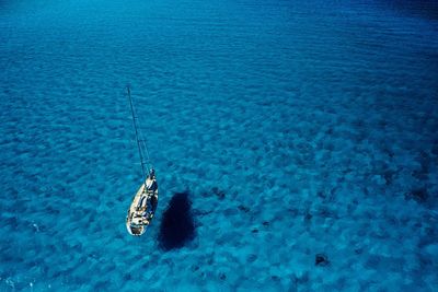 High angle view of sailboat on sea shore