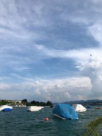 Sailboats moored in sea against sky