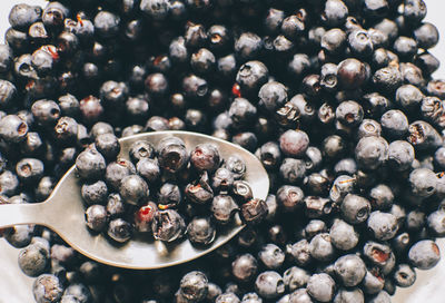 Close-up of blueberries with spoon