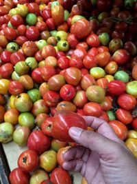 Cropped image of hand holding tomato at market stall