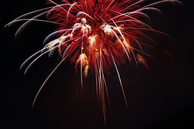 Low angle view of firework display at night