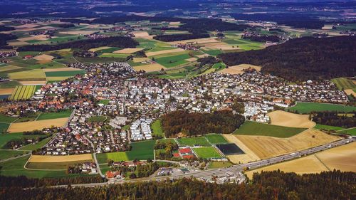 High angle view of buildings and trees in city